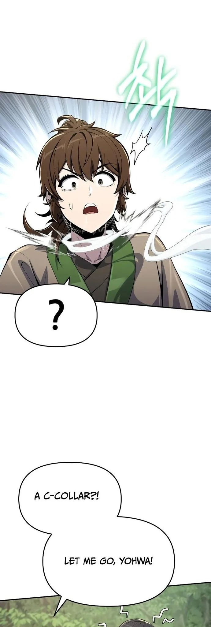  - Ch. 52